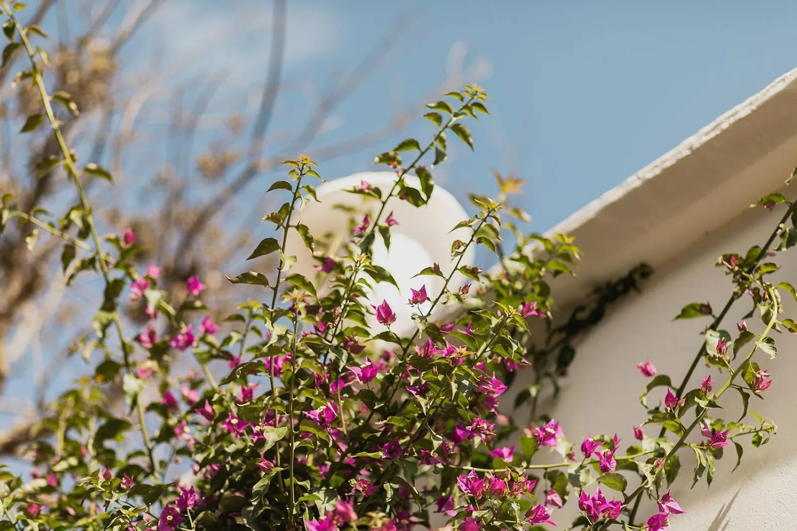 Hotel Rural Sant Ignasi Ciutadella   Ciutadella (Menorca)